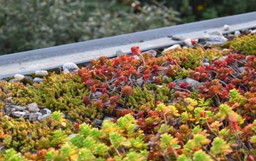 the cost of Holmston green roof installation