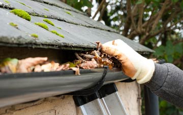 gutter cleaning Holmston, South Ayrshire