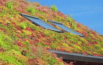 Holmston living roof systems